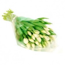 One Dozen White Tulips in a Bouquet